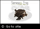 TimRobins.net